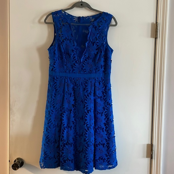 Adrianna Papell size 12 a-line lace stunning dress - Picture 1 of 4